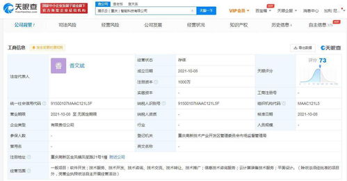 騰訊斥資千萬在渝落子智能科技新公司，本地化服務(wù)版圖再擴大